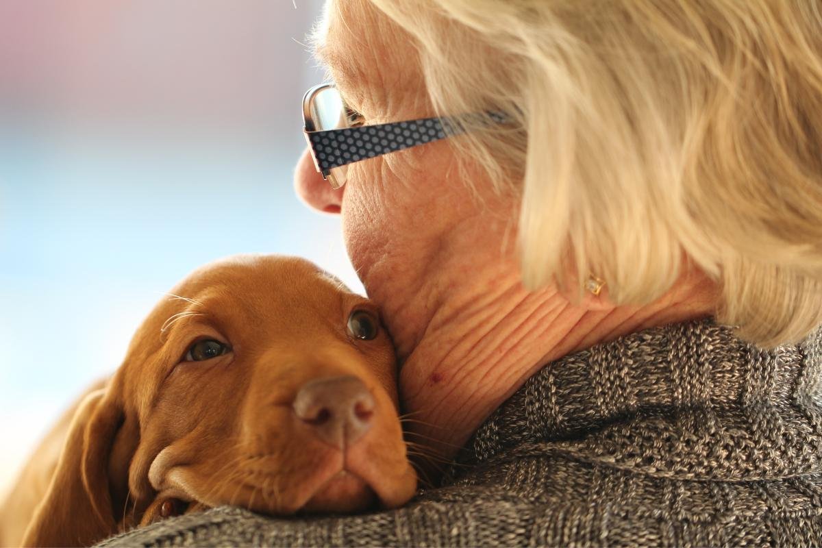 Certificado psicológico para animales de apoyo emocional