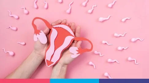 Fertilidad